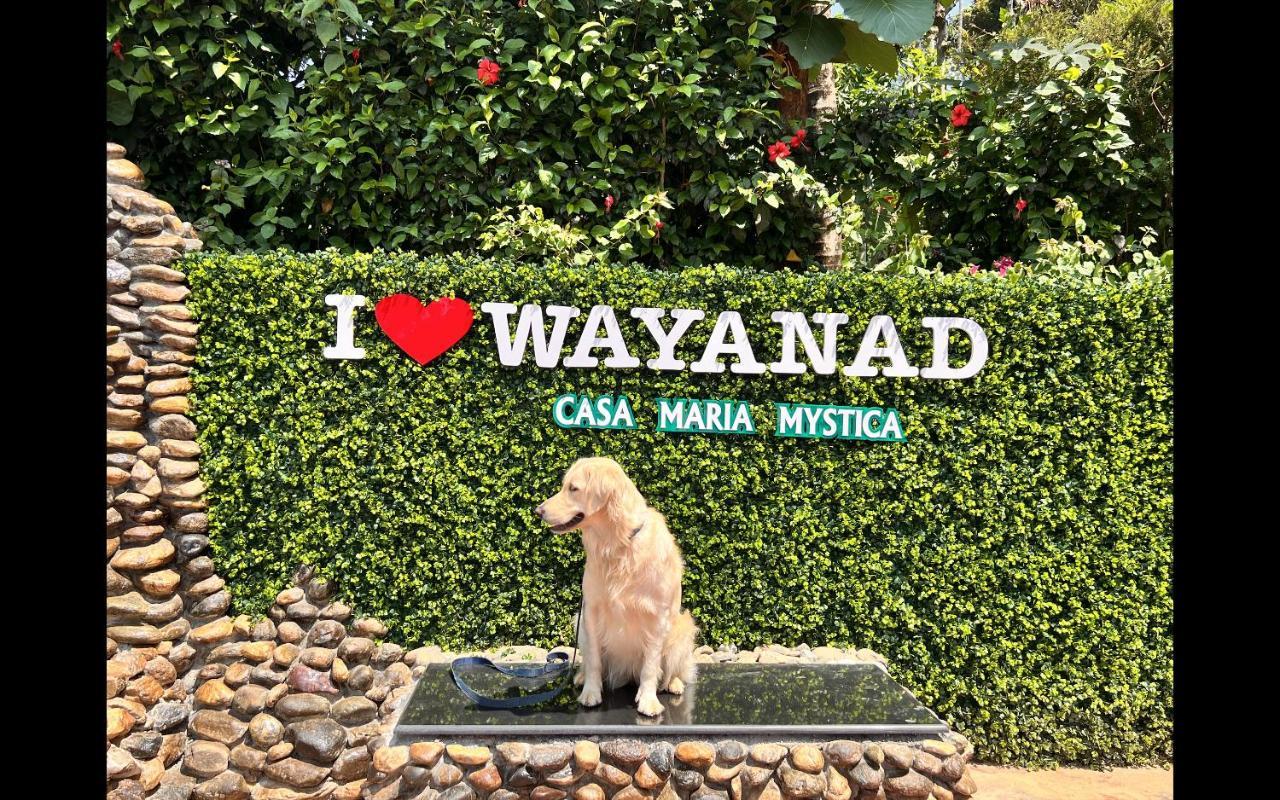 Casa Maria Mystica Apartments, Mananthavady, Wayanad Екстер'єр фото